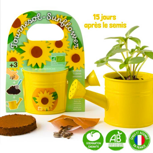 Kit Coltivazione Girasoli - Annaffiatoio Giallo