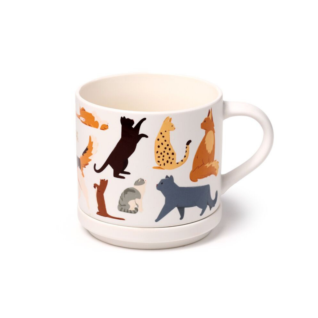 Tazza in Porcellana e Sottobicchiere/Coperchio - Gatti