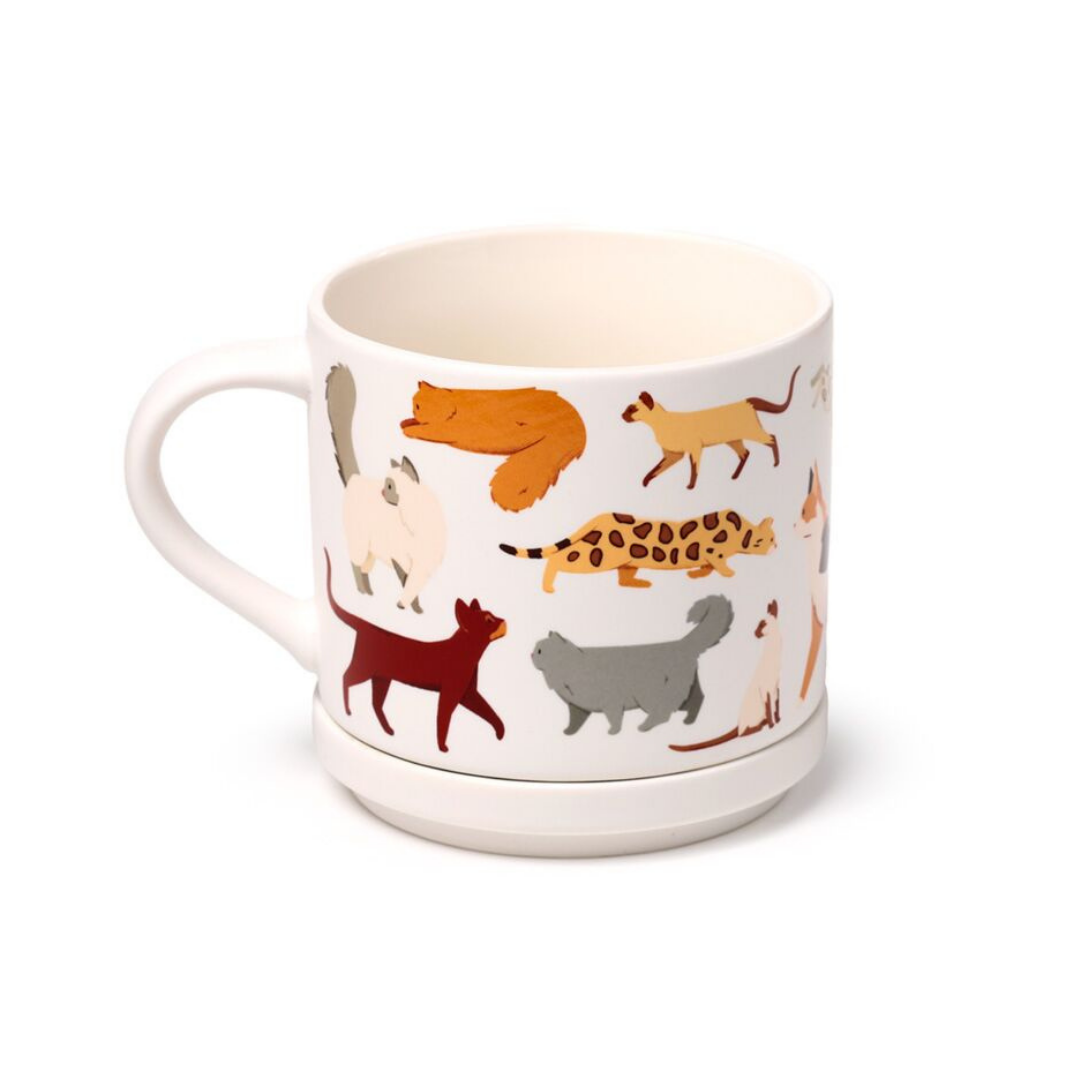 Tazza in Porcellana e Sottobicchiere/Coperchio - Gatti