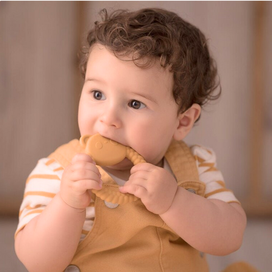 Massaggia Gengive - Panda Ruggine