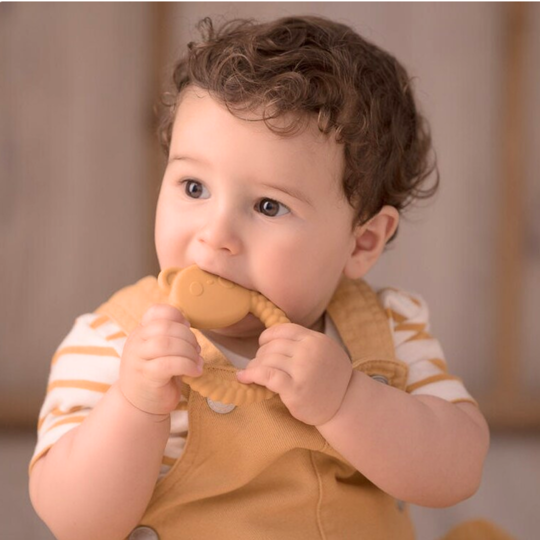 Massaggia Gengive - Panda Petrolio