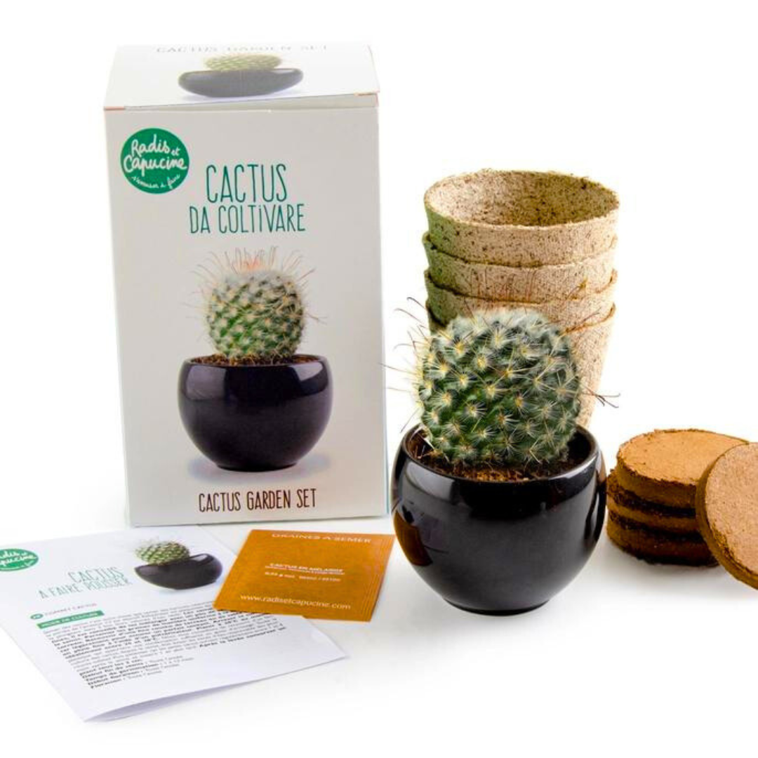 Kit Coltivazione - Cactus