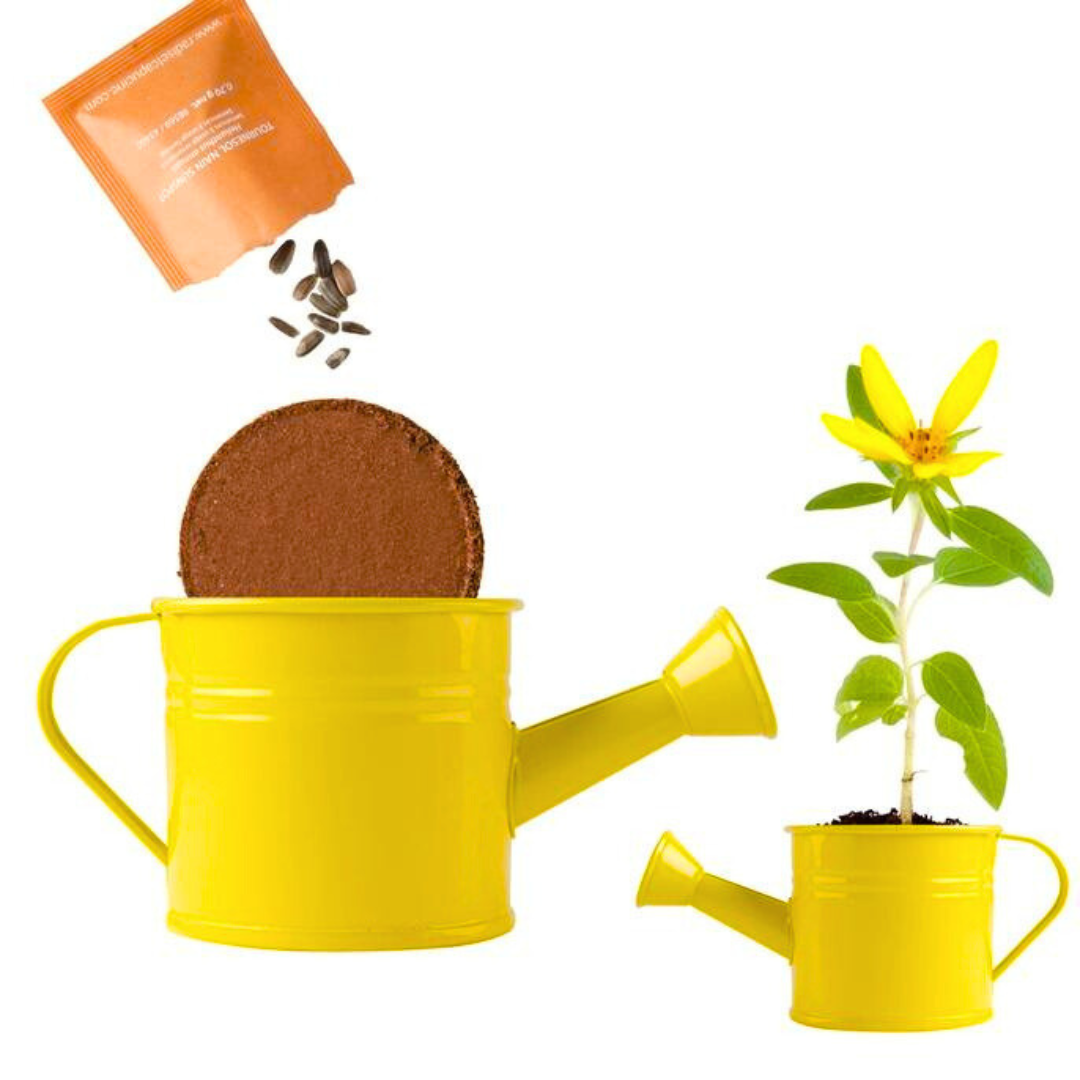 Kit Coltivazione Girasoli - Annaffiatoio Giallo