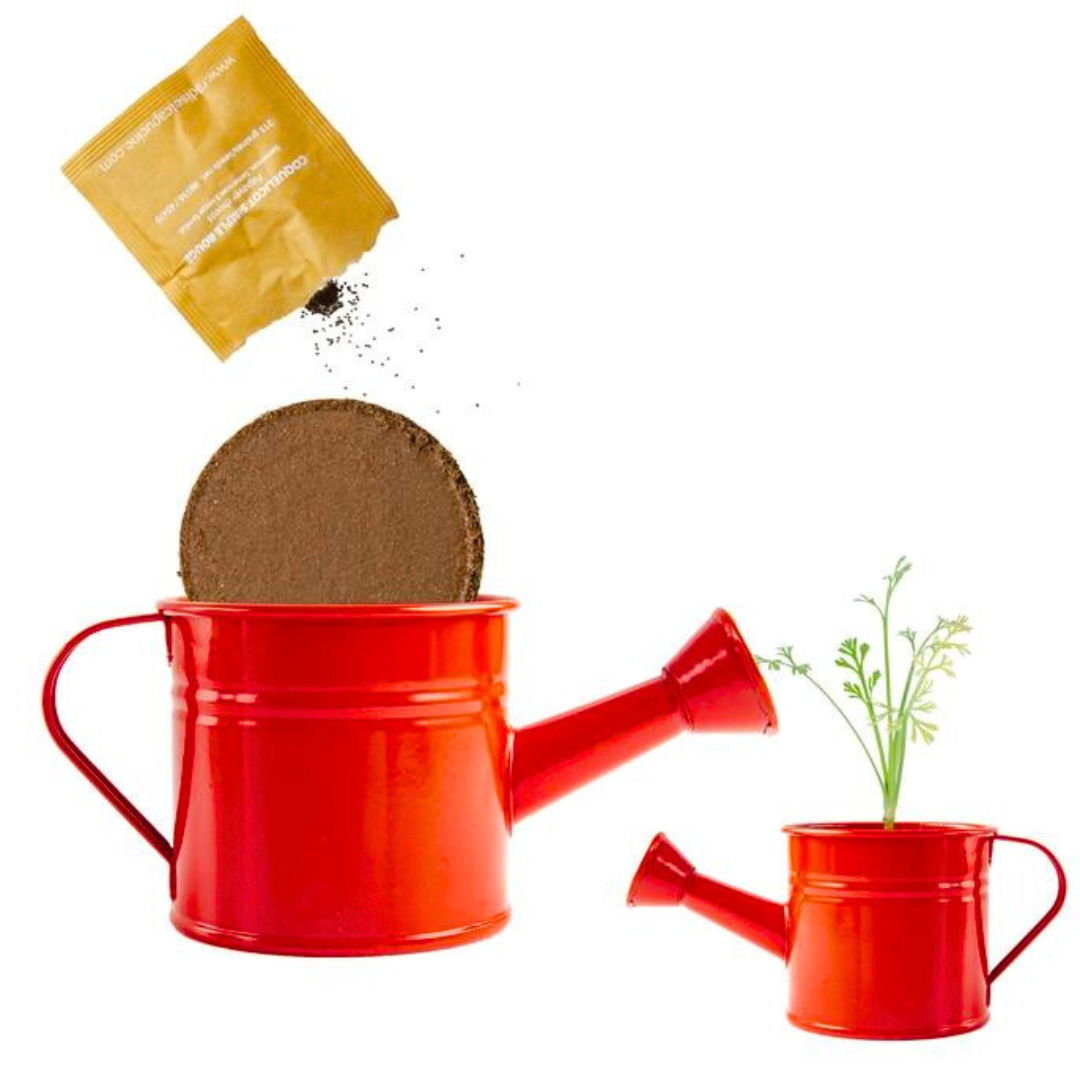 Kit Coltivazione Papaveri - Annaffiatoio Rosso