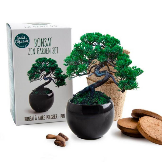 Kit Coltivazione - Bonsai