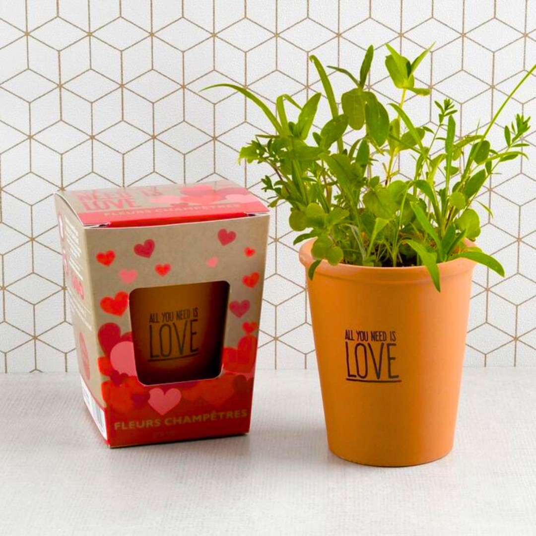 Kit Coltivazione - All You Need Is Love
