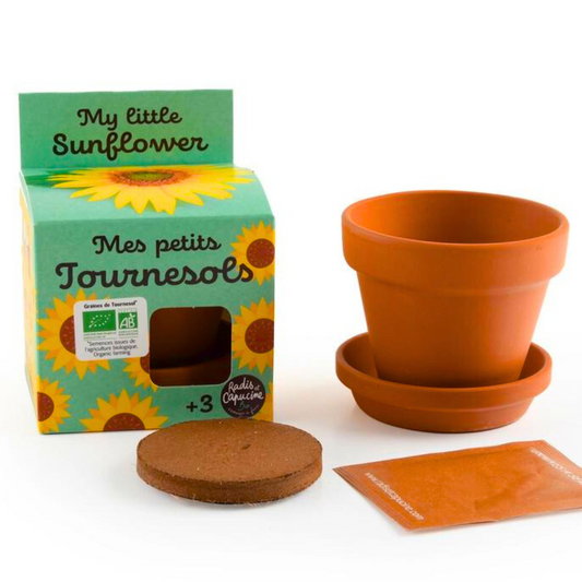 Vaso Coltivazione Biologica - Girasoli