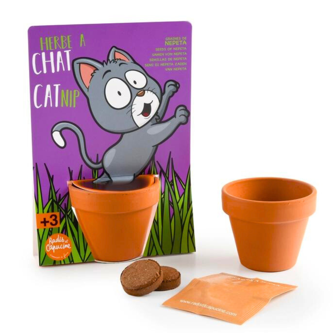 Kit Coltivazione - Erba Gatta
