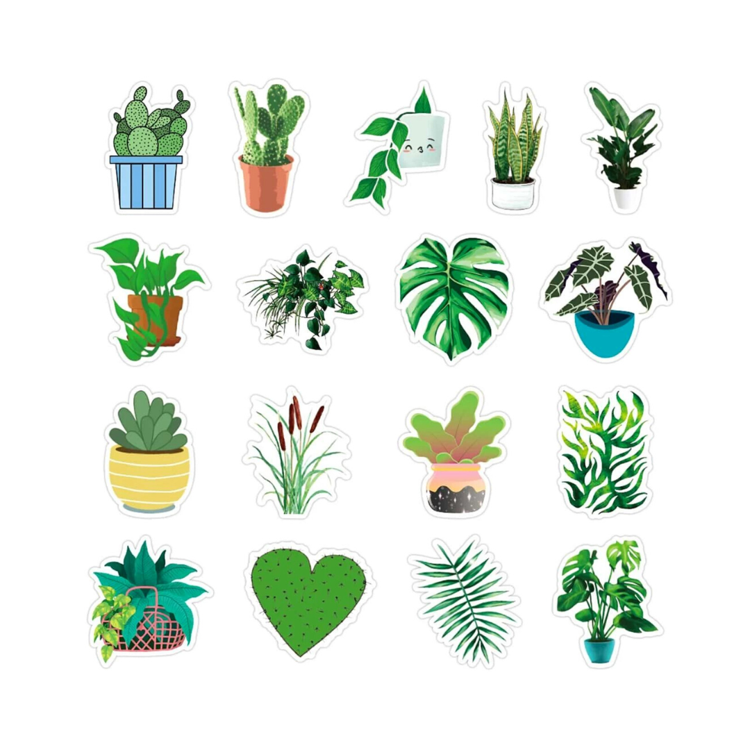 Adesivi - Cactus