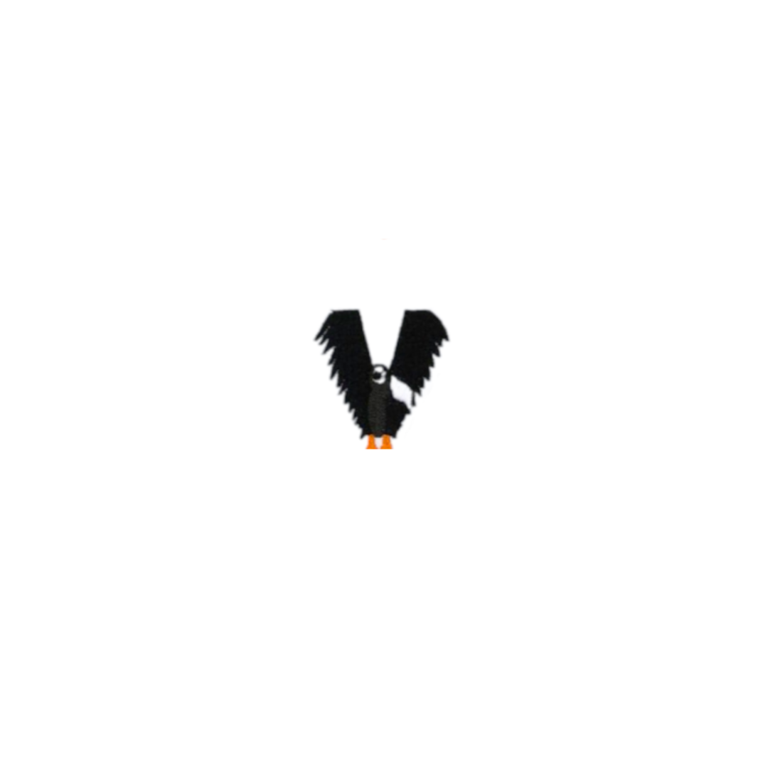 Toppa Termoadesiva - Lettere V W X Y Z