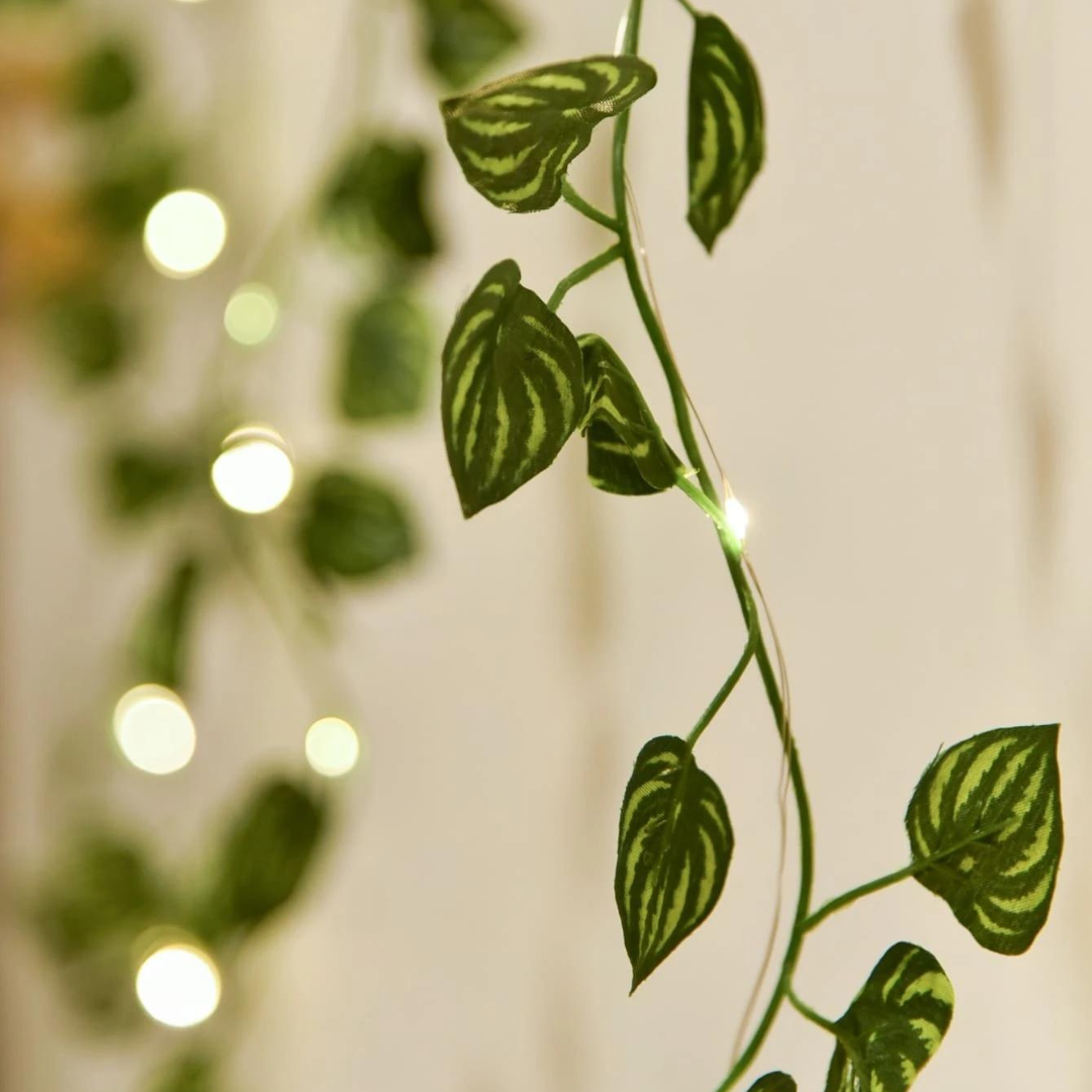 Filo Luci Led - Foglie