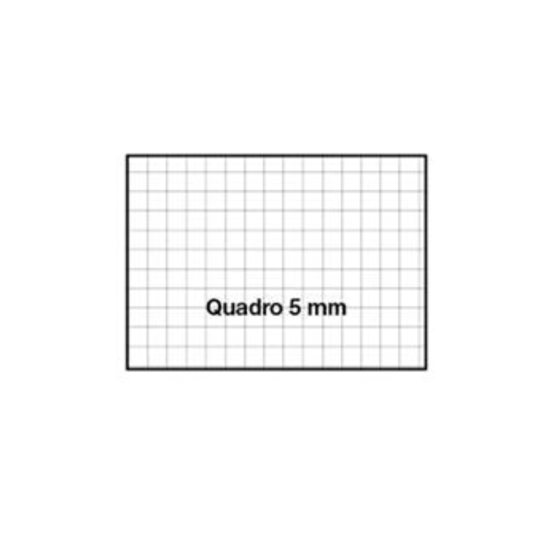 Quaderno Righe o Quadretti - Tartarughe