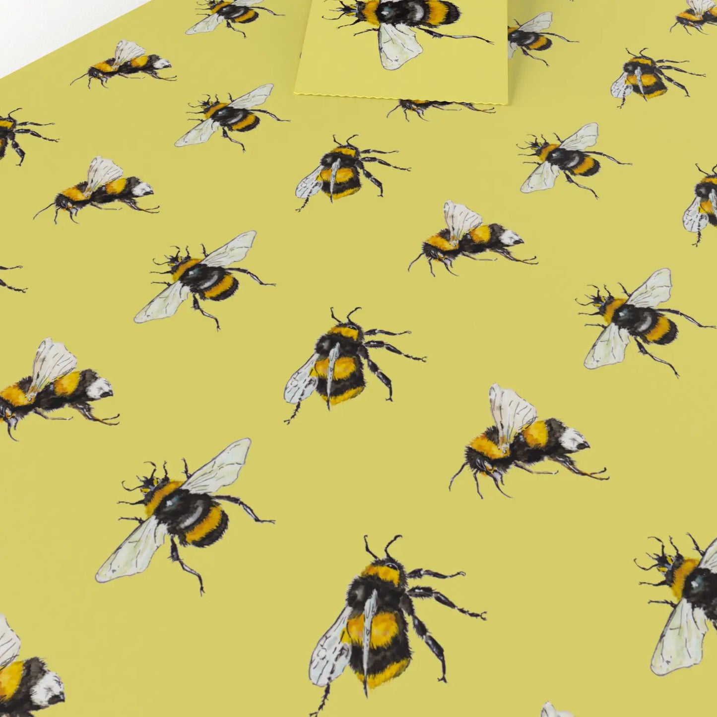 Carta Regalo con Etichetta - Api