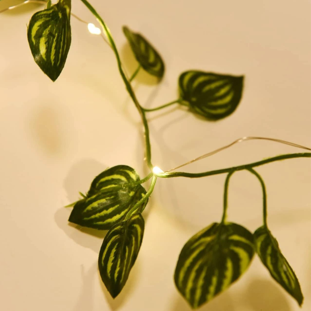 Filo Luci Led - Foglie