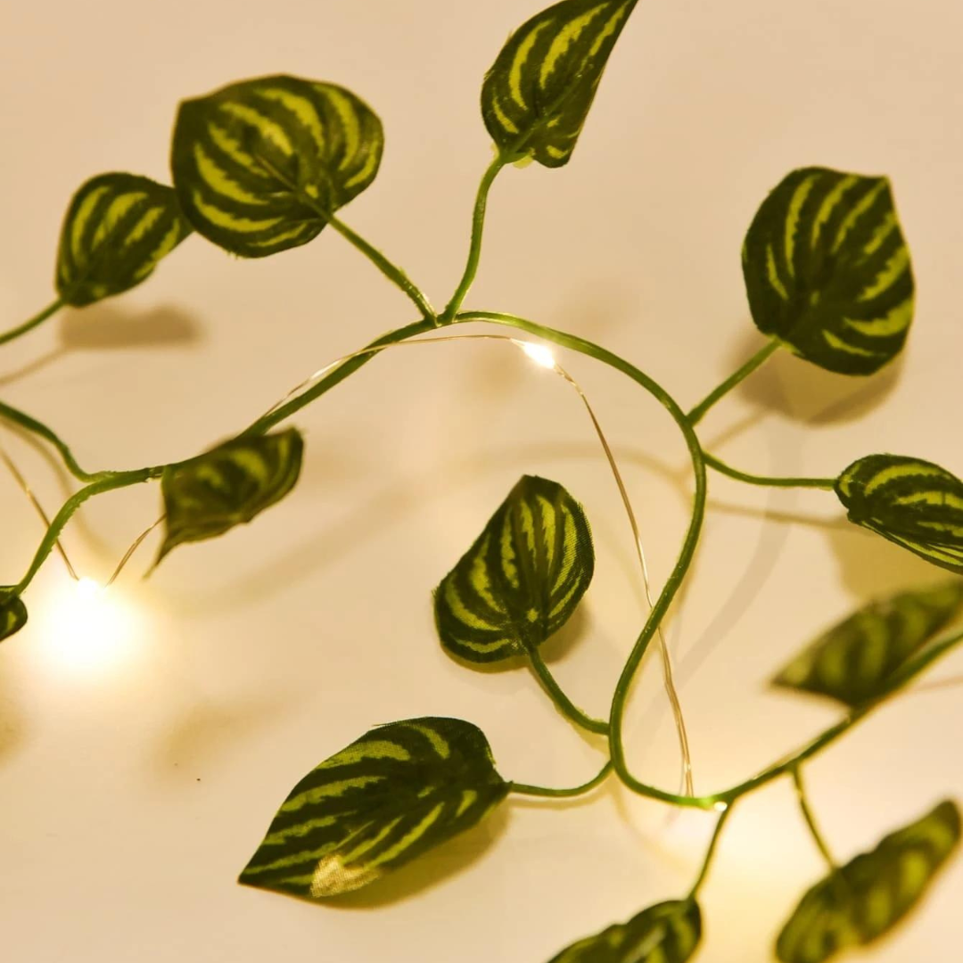 Filo Luci Led - Foglie