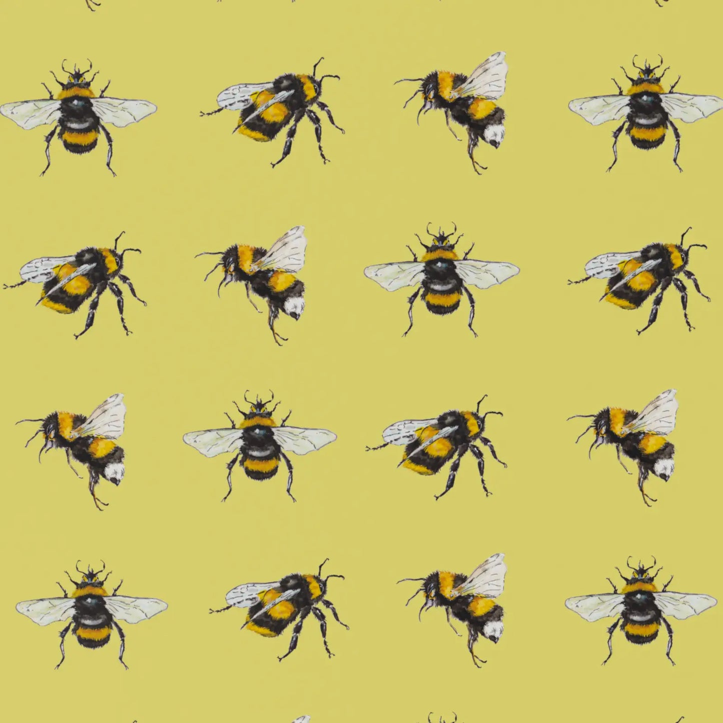 Carta Regalo con Etichetta - Api