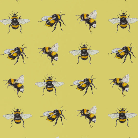 Carta Regalo con Etichetta - Api