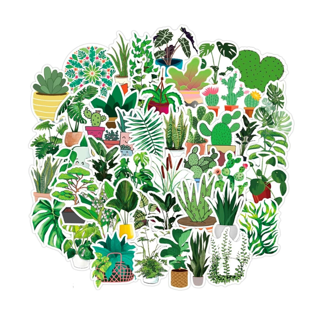 Adesivi - Cactus