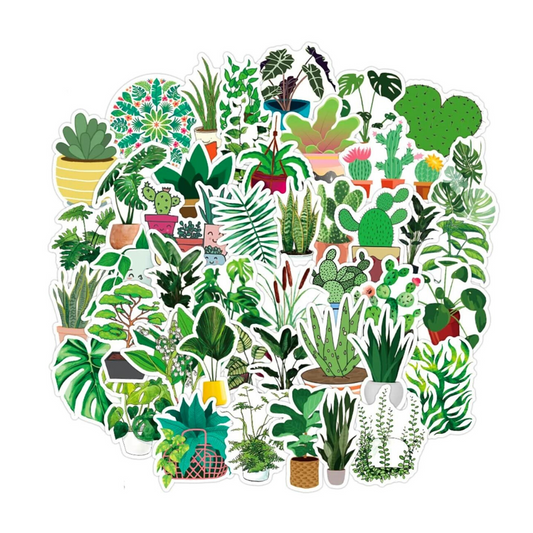 Adesivi - Cactus