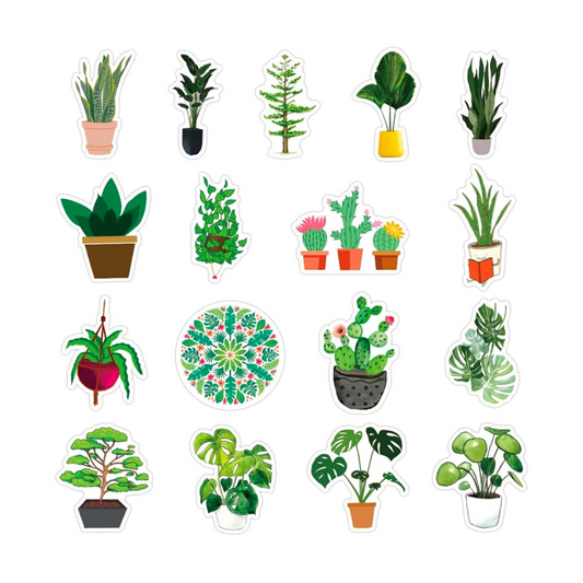 Adesivi - Cactus