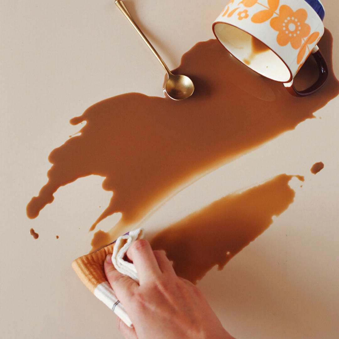 Panno Pulizie Biodegradabile - Uccellini