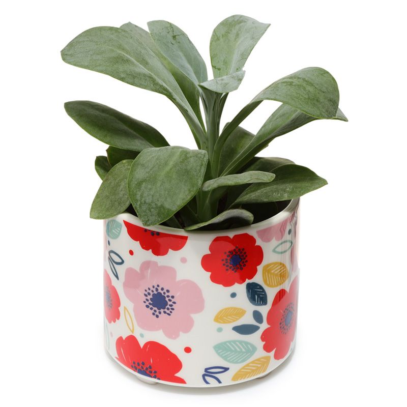 Vasetto in Ceramica - Papavero Rosso