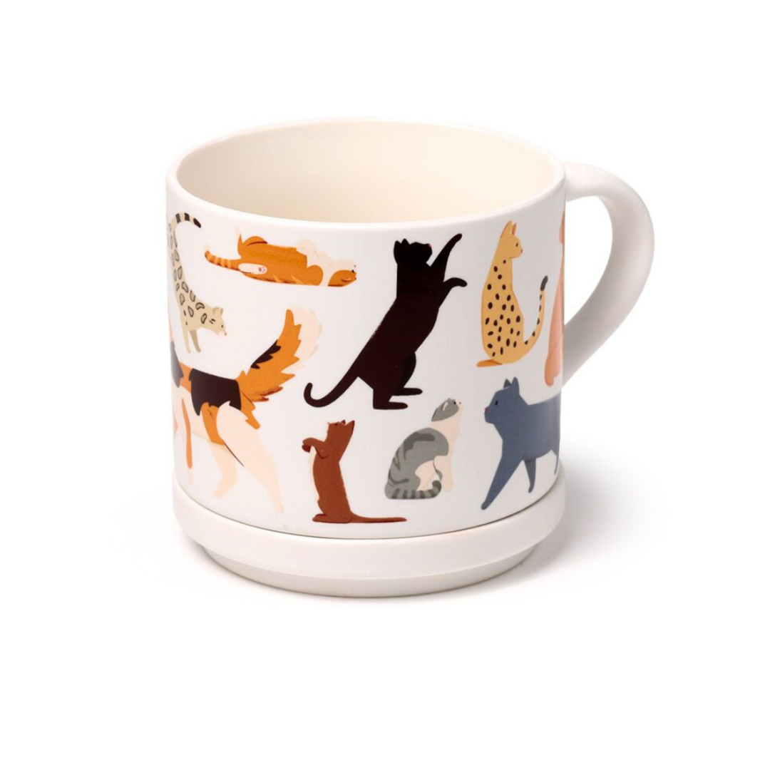 Tazza in Porcellana e Sottobicchiere/Coperchio - Gatti
