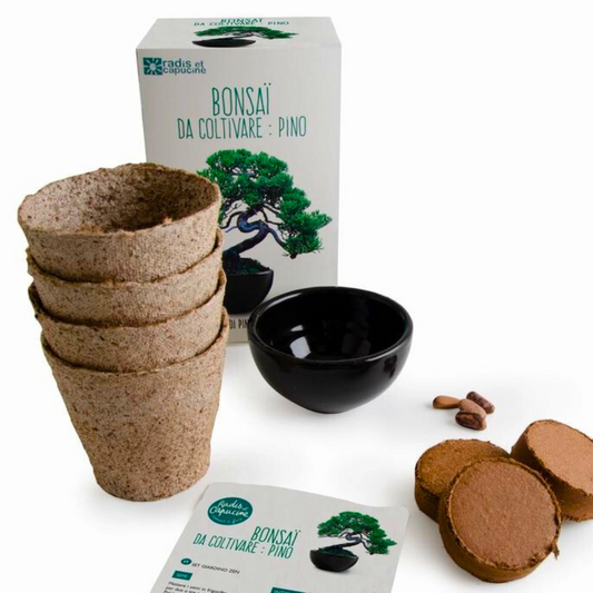 Kit Coltivazione - Bonsai